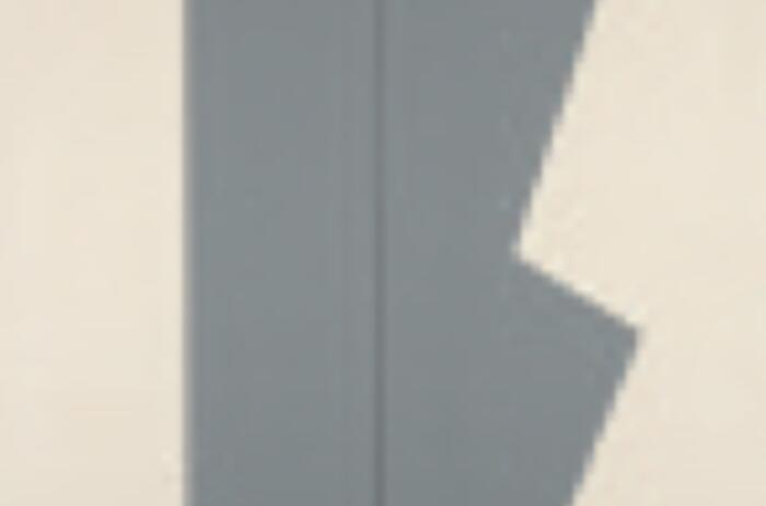 Pasado, 2010, Acrylic on canvas, diptych, 72 x 72 inches. Acrílico sobre tela, díptico, 182.8 x 182.8 in.