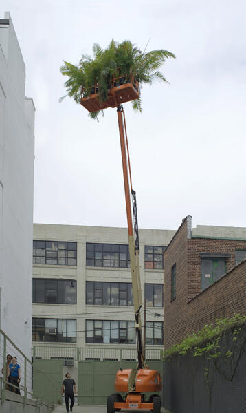 "Still Life with Cherry Picker and Palms". 2009;  60’ aerial boom lift, Majesty palms, Areca palms, weather.  Dimensions variable