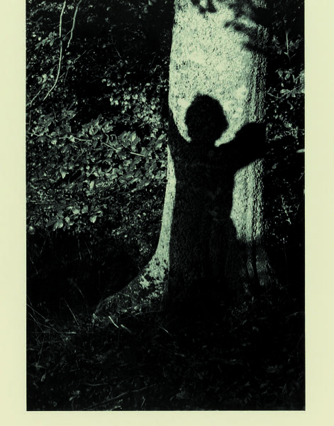 Lothar Baumgarten (*1944) Sin título (Tronco de árbol consombra) 1978 Litografía offset según fotografía Colección del Deutsche Bank