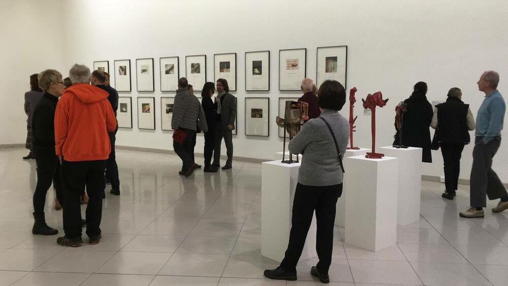 El Museo de Arte Moderno de Buenos Aires en diálogo con la colección MMK de Frankfurt