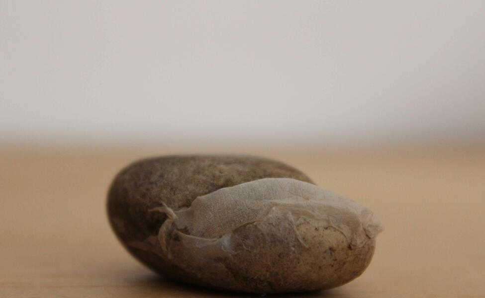 (Piedras encontradas y Piel  Dimensiones Variables) Molloy - de la serie Piedras de Humo, María Leguízamo,  2014 - 2018