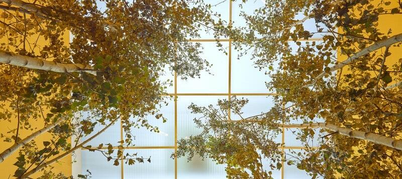 OLAFUR ELIASSON: Y/OUR FUTURE IS NOW IN SERRALVES MUSEUM OF CONTEMPORARY ART 