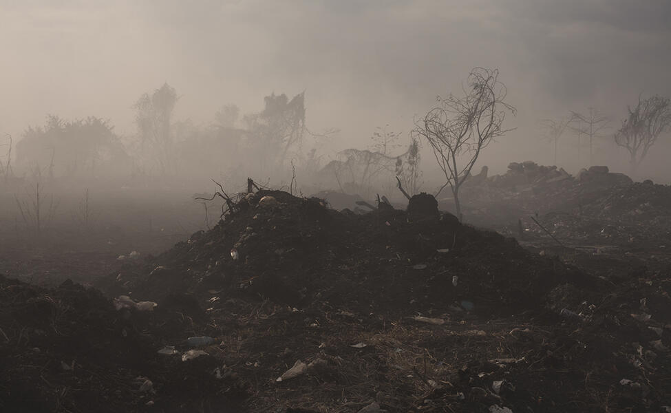 Relatos de la desolación en México. ArtexArte