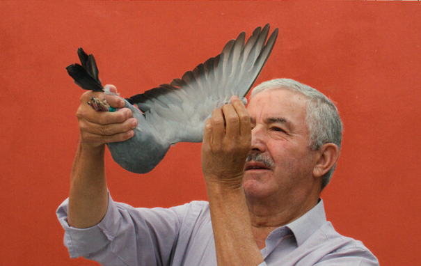 JONATHAS DE ANDRADE’S EXPLORATION ON HUMANS AND PIGEONS