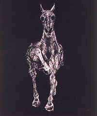"Caballo", óleo sobre tela, 76 x 114 cm, 2002