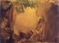 Serie "Bosques", óleo sobre tela, 90 x 120 cm