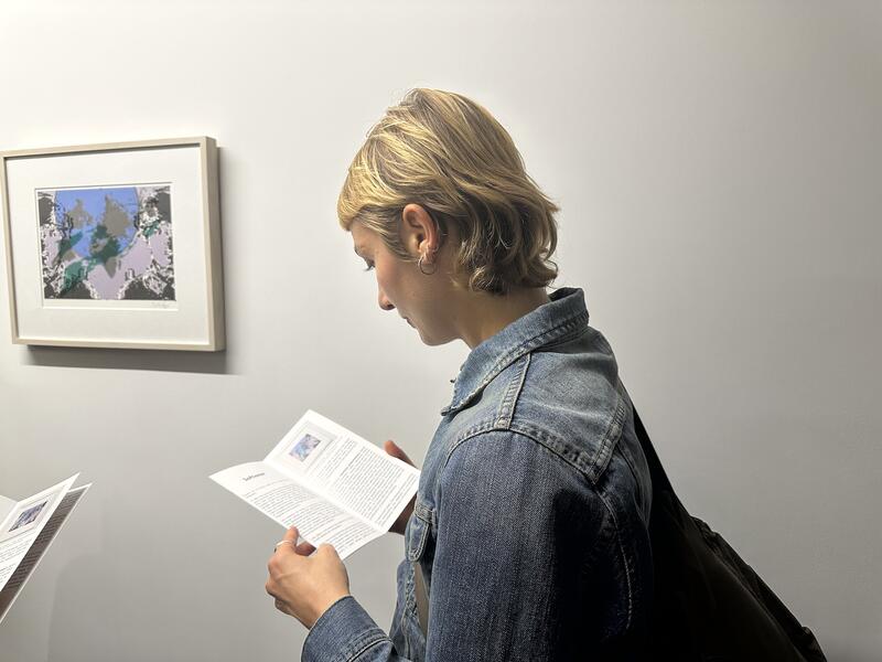 FINAL DAYS TO PROPOSE EXHIBITIONS TO APEXART IN NEW YORK