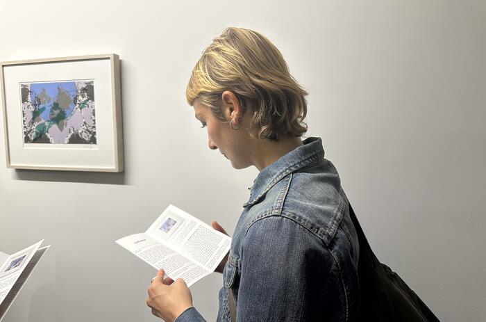 FINAL DAYS TO PROPOSE EXHIBITIONS TO APEXART IN NEW YORK