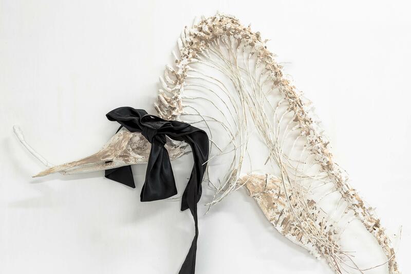 EMILIA DE LAS CARRERAS, THE ARTIST WHO PRACTICES FICTIONAL TAXIDERMY