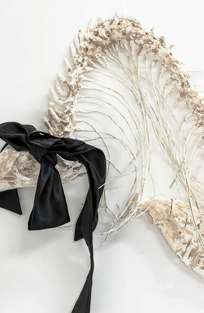 EMILIA DE LAS CARRERAS, THE ARTIST WHO PRACTICES FICTIONAL TAXIDERMY