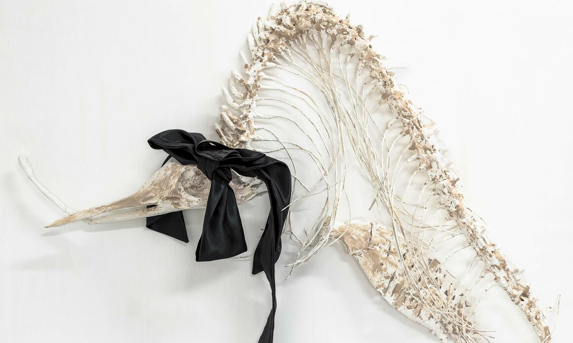 EMILIA DE LAS CARRERAS, THE ARTIST WHO PRACTICES FICTIONAL TAXIDERMY