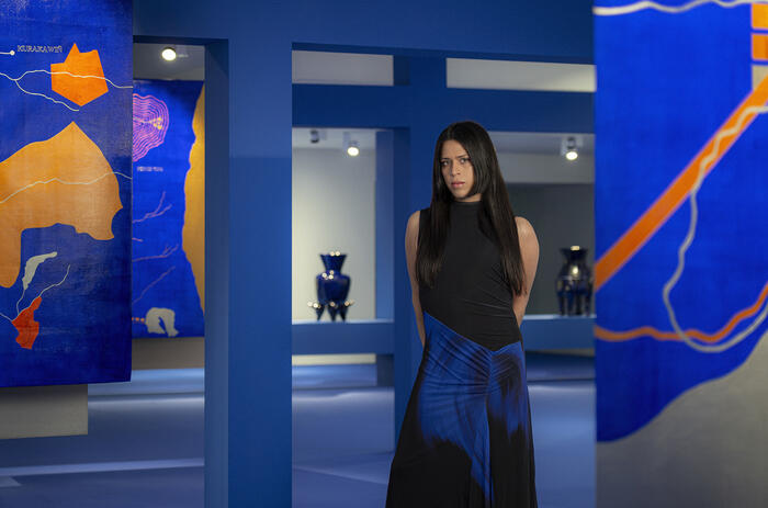 SEBA CALFUQUEO: "I AM INTERESTED IN BLOWING UP PRE-ESTABLISHED IDEAS ABOUT THE INDIGENOUS"