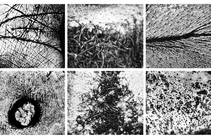 70'S I ALTRES COSES: THE EXHIBITION OF VERA CHAVES AT ZIELINKSY 70'S I ALTRES COSES: THE EXHIBITION OF VERA CHAVES AT ZIELINKSY