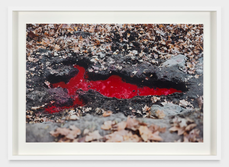ANA MENDIETA, LEADING FIGURE OF THE NEW TRIBECA EXHIBITION