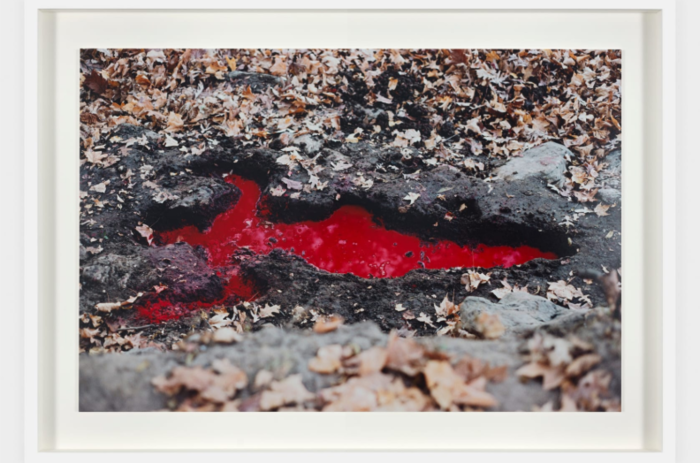ANA MENDIETA, LEADING FIGURE OF THE NEW TRIBECA EXHIBITION