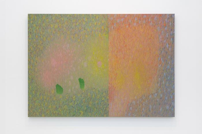 ANA MONTIEL: A CARTOGRAPHY OF CONSCIOUSNESS AND PERCEPTION