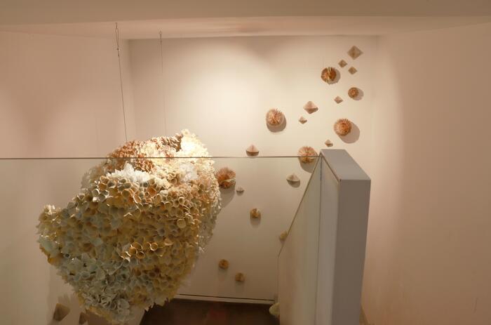 KNOWLEDGE AND THE ORGANIC: NEBRASKA FLORES AT PONCE+ROBLES