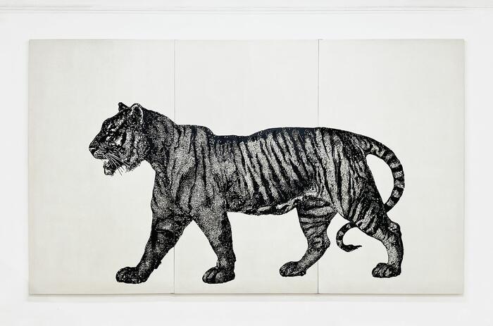 EDWIN MONSALVE: THE TRACE IN THE PROCESS OF TRANSFORMATION, AT FERNANDO PRADILLA