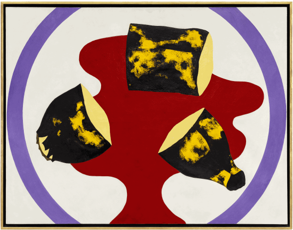 THE BATTLEFIELD OF ANTONIO HENRIQUE AMARAL: BANANAS, POLITICS, AND MOVEMENT