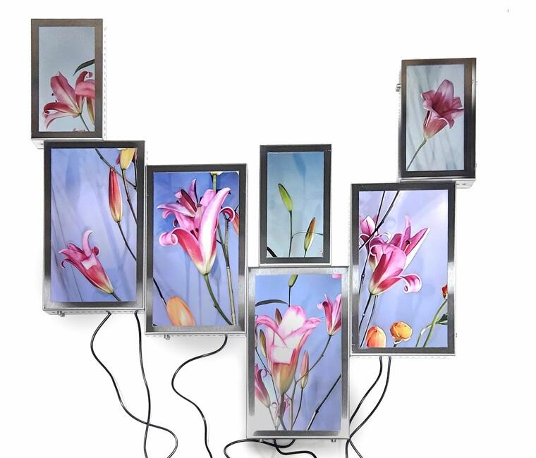 JULIETA TARRAUBELLA'S CYBORG GARDEN IN MIAMI