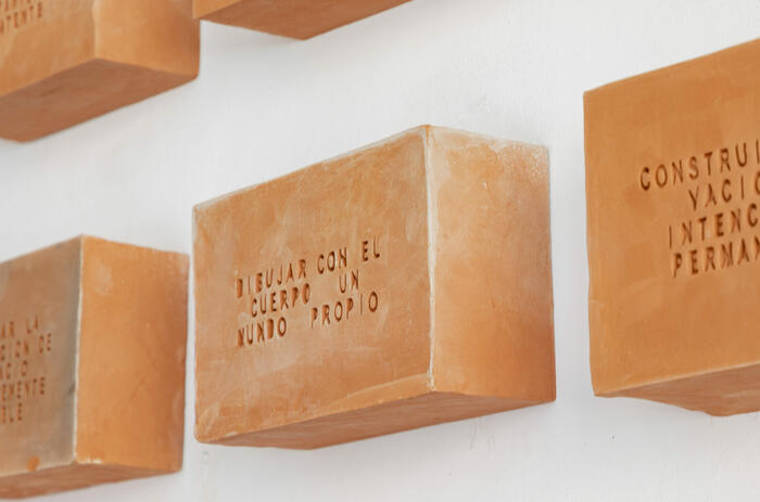FERNANDA DEL BARRIO: TERRITORY AND QUESTIONING THE IDEA OF HOME