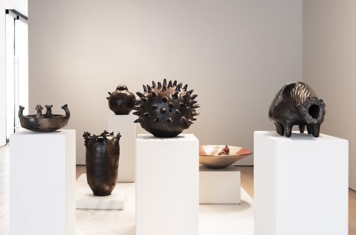 JULIA ISÍDREZ’S WORLD IN NEW YORK