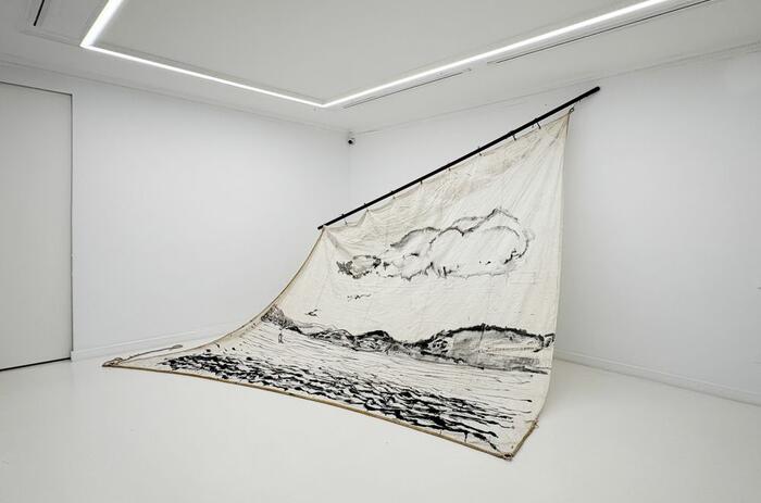 Alberto Baraya: Viaje a Galicia, vista general. Cortesía de Fernando Pradilla