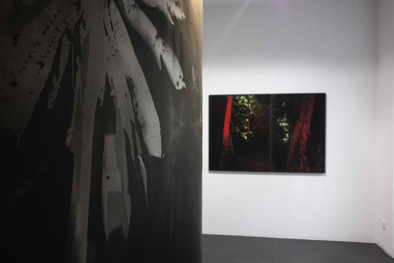 ROBERTO HUARCAYA'S PHOTOGRAPHIC RESEARCH 