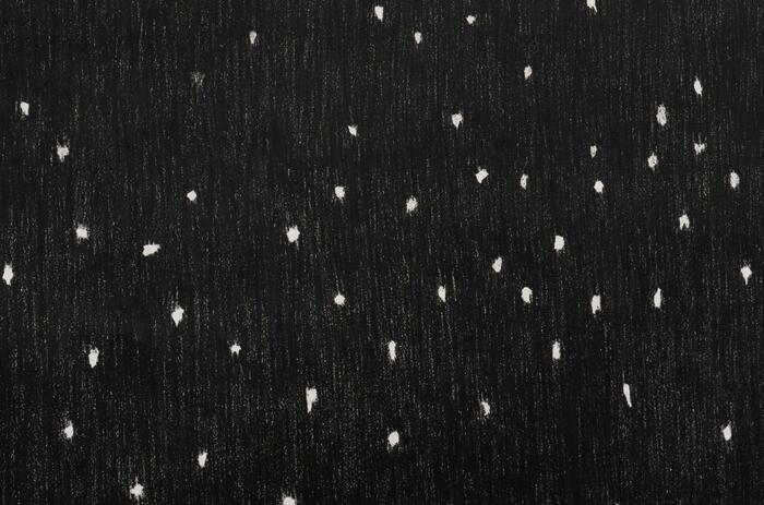 THE SMALL AND THE EVERYDAY AS SENSIBLE MATTER IN DANIELA LIBERTAD