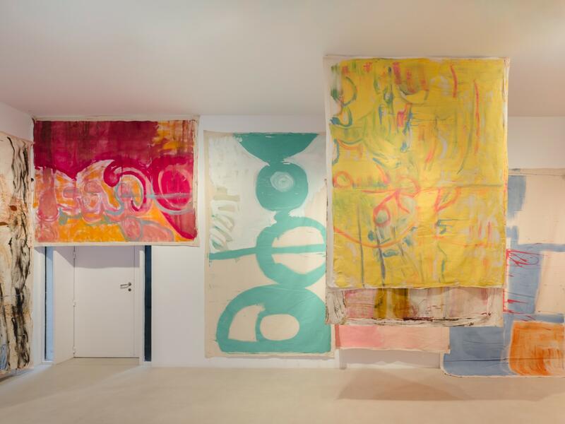 VIVIAN SUTER: BETWEEN NATURE, PROCESS, AND SPACE