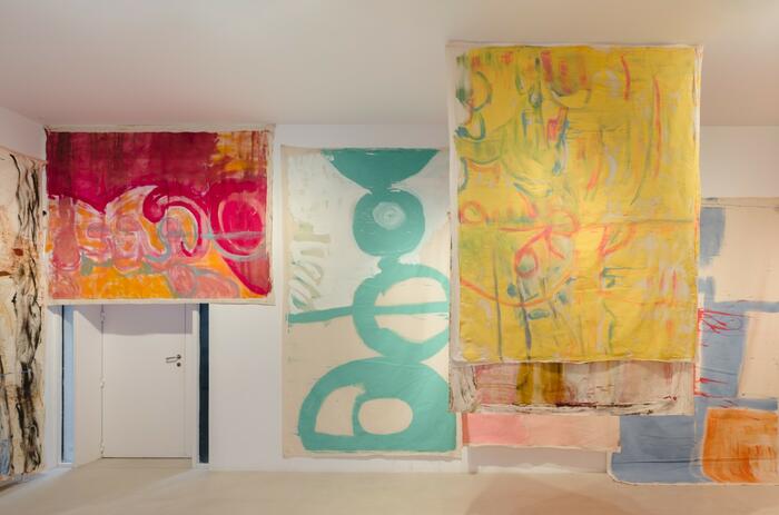 VIVIAN SUTER: BETWEEN NATURE, PROCESS, AND SPACE