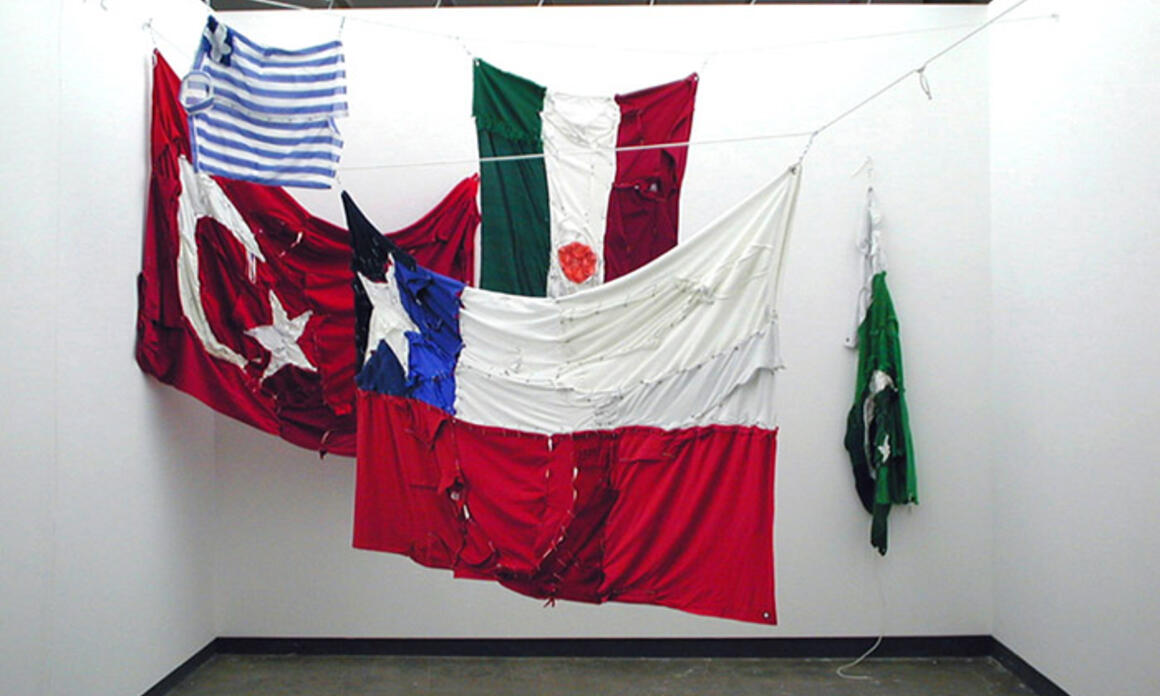 COSTA VECE Revolución / Patriotismo, 2005 - mixed media various dimensions Courtesy Franco Noero Gallery