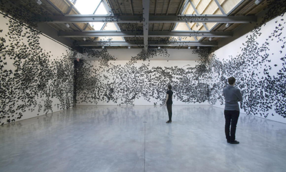 Phoenix Art Museum Exhibits Halle Collection of Contemporary Latin American Art