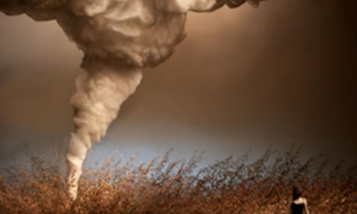 Pinta New York 2012 announces new expansions in its sixth edition 