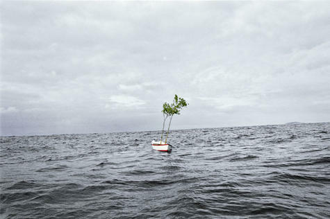 Teresa Serrano Boca de tabla / Mouth of Plank, 2008, Teresa Serrano Boca de tabla / Mouth of Plank, 2008,