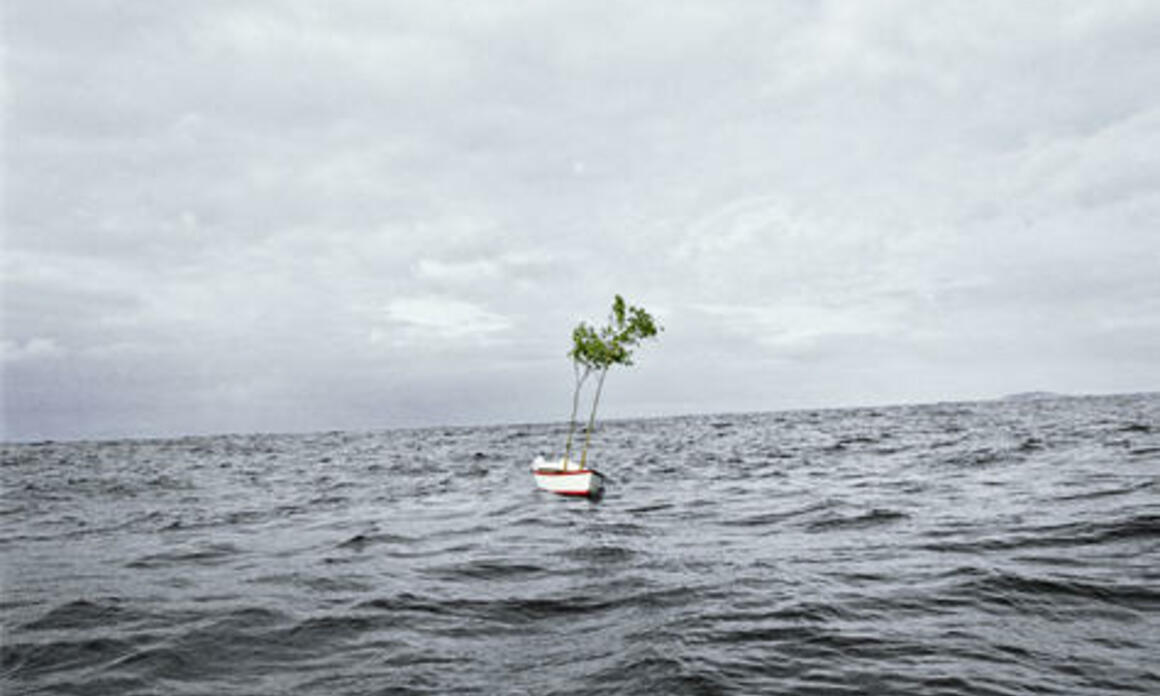 Teresa Serrano Boca de tabla / Mouth of Plank, 2008, 