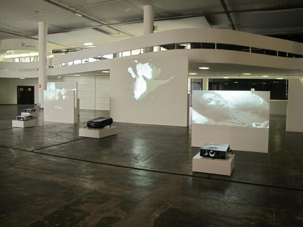 Thirtieth Sao Paulo Biennial 