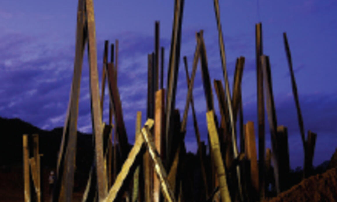 COLLECTION: Instituto Cultural INHOTIM