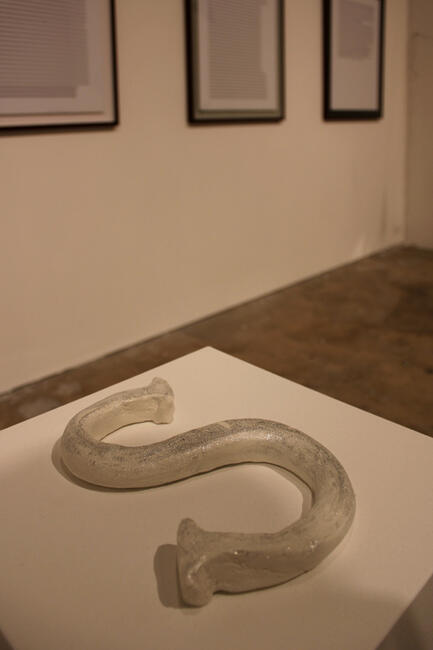 Julieta Aranda.CIFO Pic 17