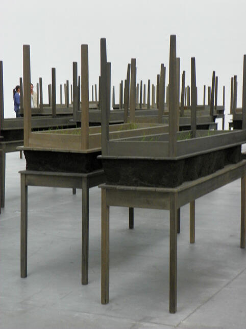 Doris Salcedo 