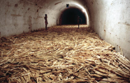 Untitled (Havana, 2000), 2000. Video Performance - Installation with milled sugar cane, black and white monitor, Cubans, DVD disc, DVD player. Dimensions: 13.12' x 39.37 x 164.04'. Photo: Casey Stoll. Courtesy of the artist. Sin título (Habana, 2000), 2000. Video Performance - Instalación con caña de azúcar molida, monitor blanco y negro, cubanos, disco de DVD, reproductor de DVD. Dimensiones: 4 x 12 x 50 m. Foto: Casey Stoll. Cortesía de la artista.