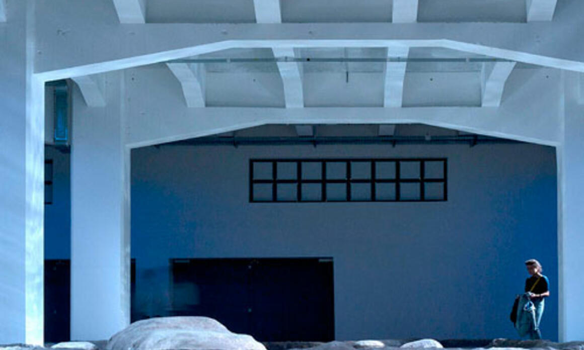 11th Lyon Biennial 