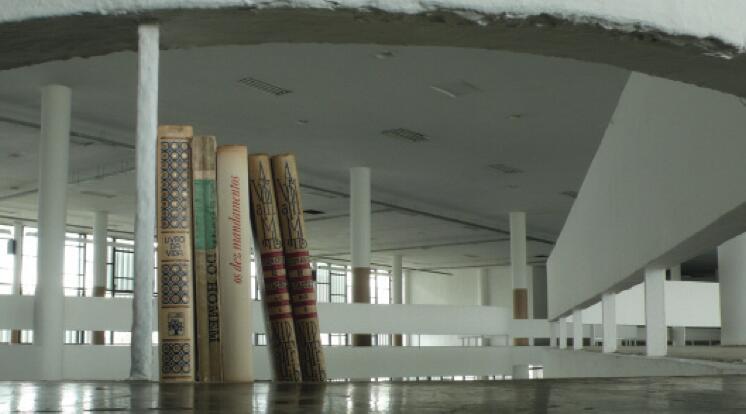 Rochelle Costi. Residence (shelf)/Residencia (estante), serie 2010