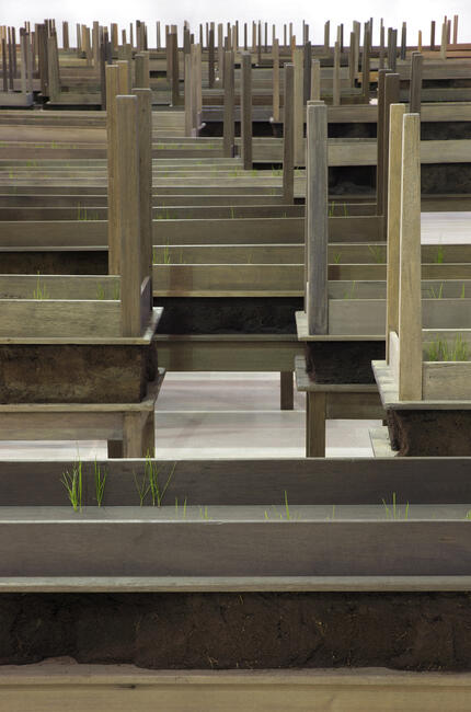 Doris Salcedo