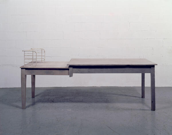 Doris Salcedo