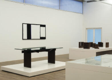 IAC, Institution / institucion