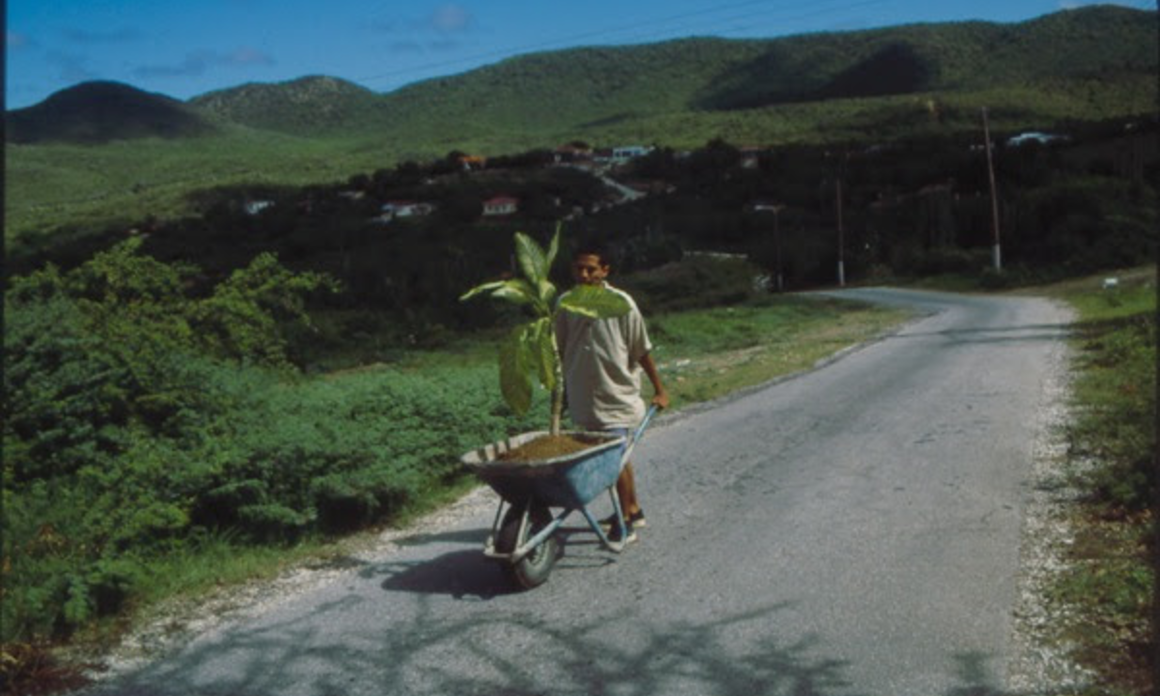 Exhibition: _Under the Same Sun: Art from Latin America Today_ at the Guggenheim Museum, New York
