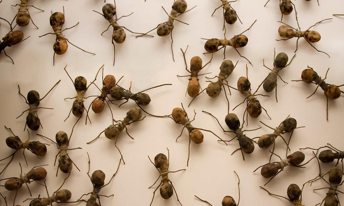 Reafael Gomez Barro-Casa Tomada