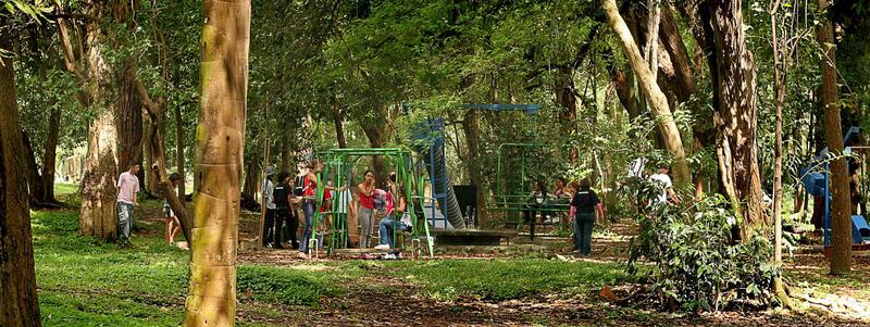 Reação Em Cadeia Com Efeito Variável, Carla Zaccagnini. 2010