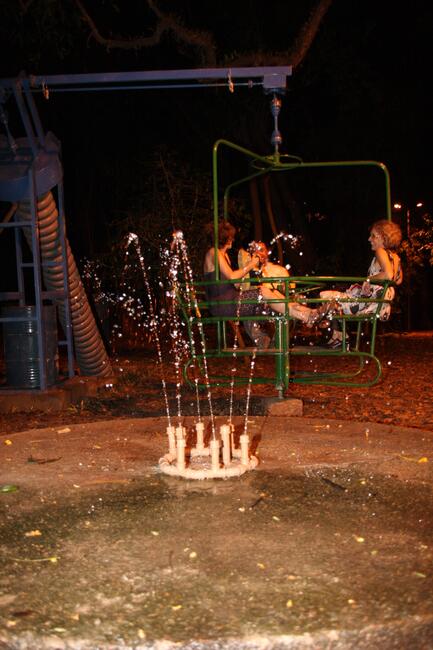 Reação Em Cadeia Com Efeito Variável, Carla Zaccagnini. 2010